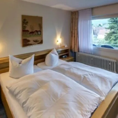 Hotel Hartmann 3*